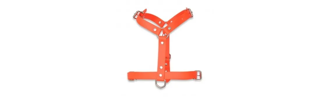 Arnés Ajustable Polytec