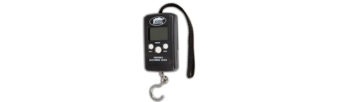 Balanza Digital Rectangular 40 kg-Lineaeffe Hot