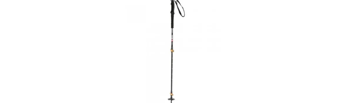 Bastón + BT148003 23V Pack 2-8000 Hot
