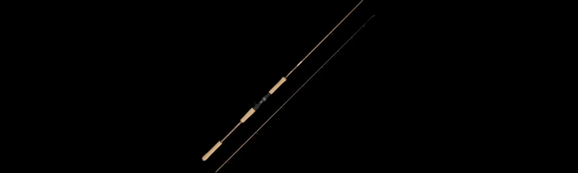 Caña Beast Pro2-Abu García