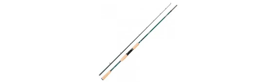 Caña Abu Garcia Beast Pike 842XH 40-140g Casting
