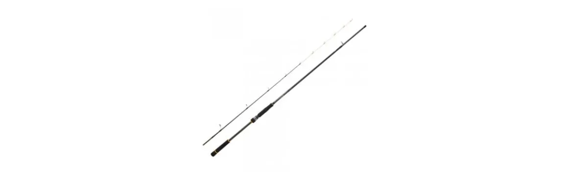 Caña BG-Daiwa Sale