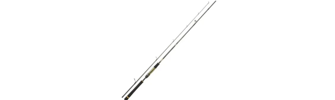 Caña Daiwa Crosscast Rock Game I