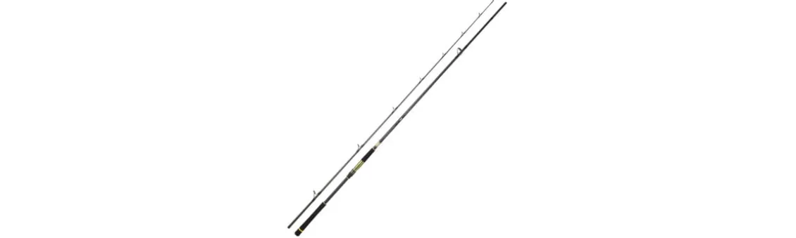 Caña Daiwa Crosscast Shore Jigging