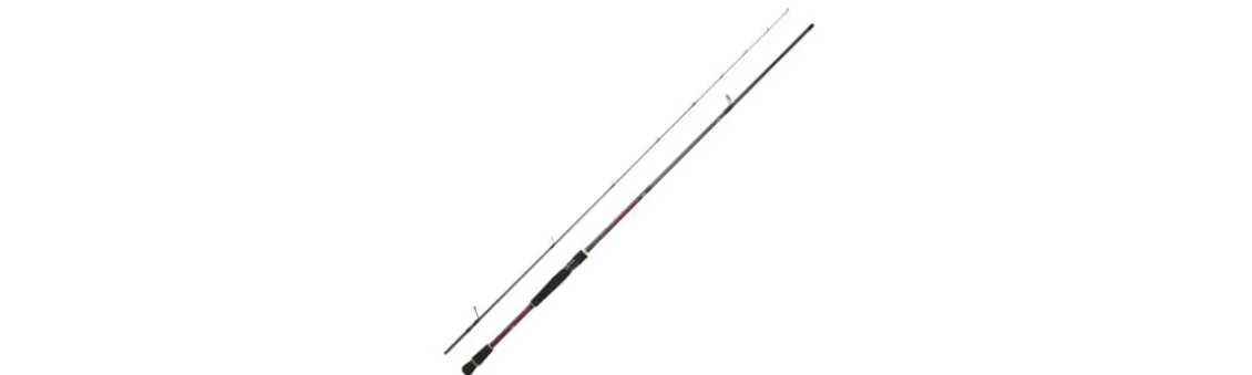 Caña Daiwa Infeet Rockfishing