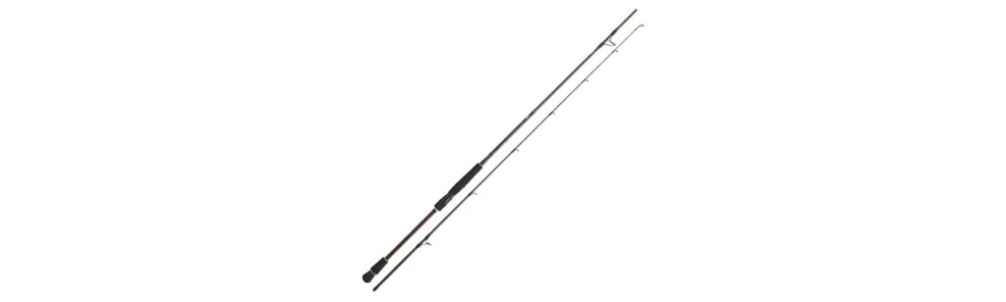 Caña Daiwa Infeet Seabass Distance Cast
