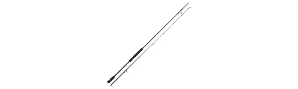 Caña Infeet Seabass Distance I-Daiwa Sale