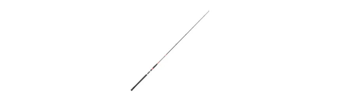 Caña Daiwa Megaforce Big Fish