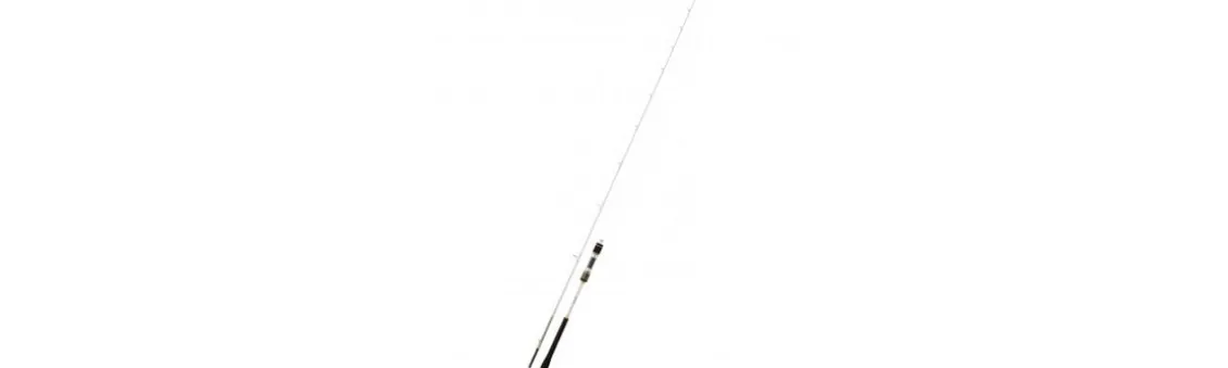 Caña Daiwa Megaforce Jigging