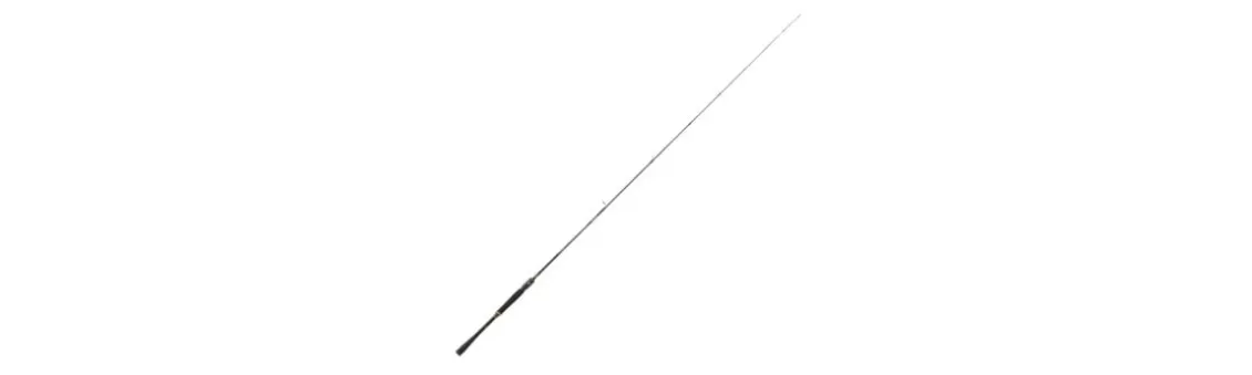 Caña Daiwa Prorex XR Monotramo Spinning