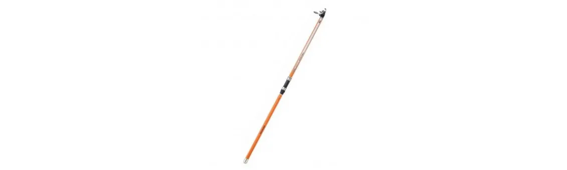 Caña Daiwa Proteus GG Surfcasting Telescópica