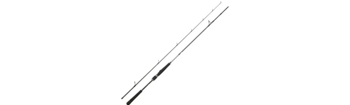 Caña Daiwa Saltist Seabass 24