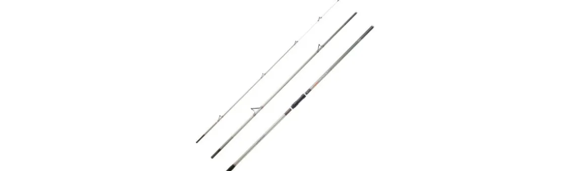 Caña Daiwa Shorecast Surf X