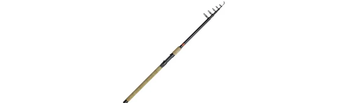 Caña Dam Spezi Stick II Pike Tele
