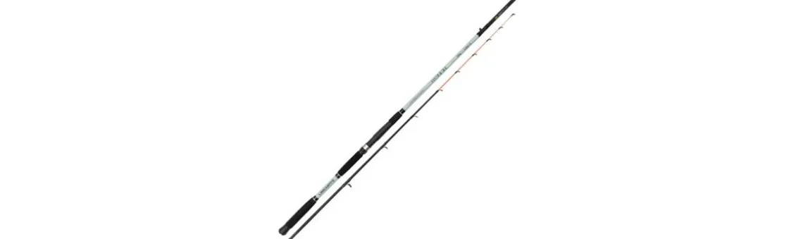 Caña Lineaeffe Boat Pulse Power