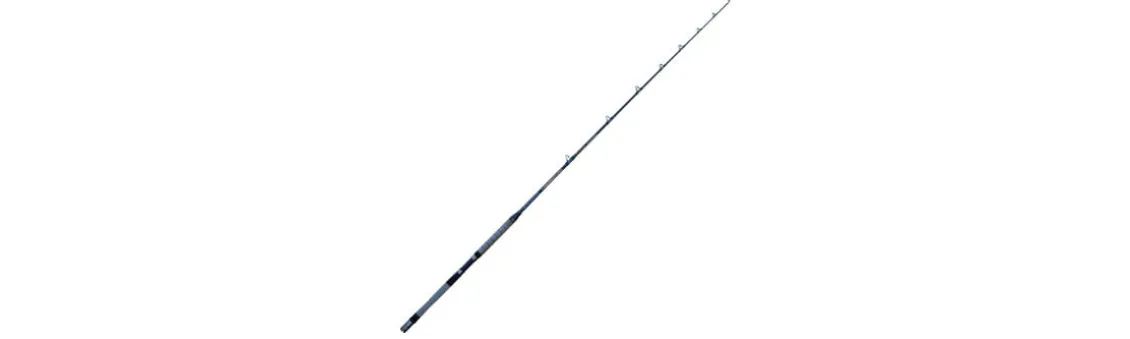 Caña Lineaeffe PT Power Boat Pro