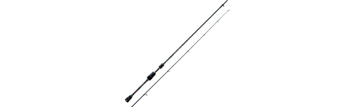 Caña Sumo T.A. Fuji-Nomura New