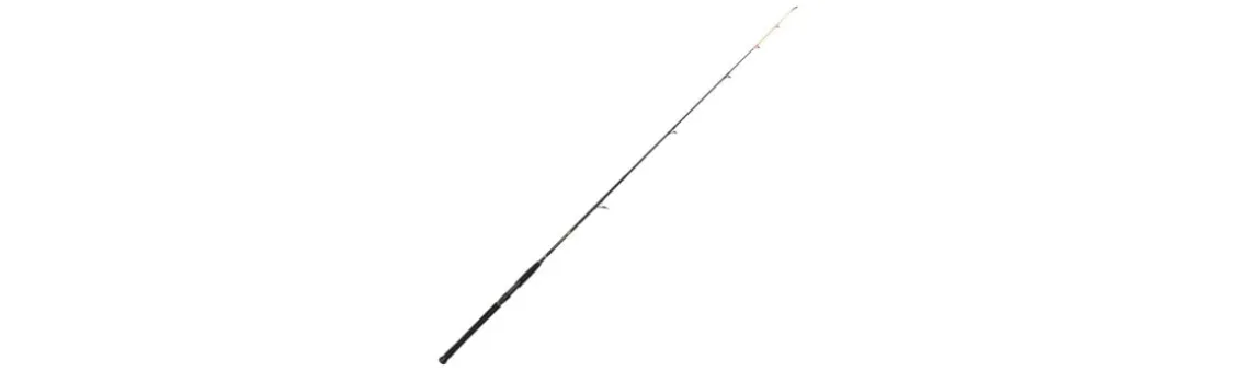 Caña Penn Wrath II Dorade
