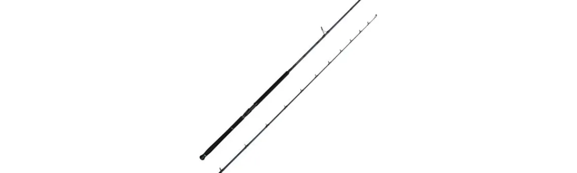 Caña Defiance SG2 Shore Jig-Savage Gear Online