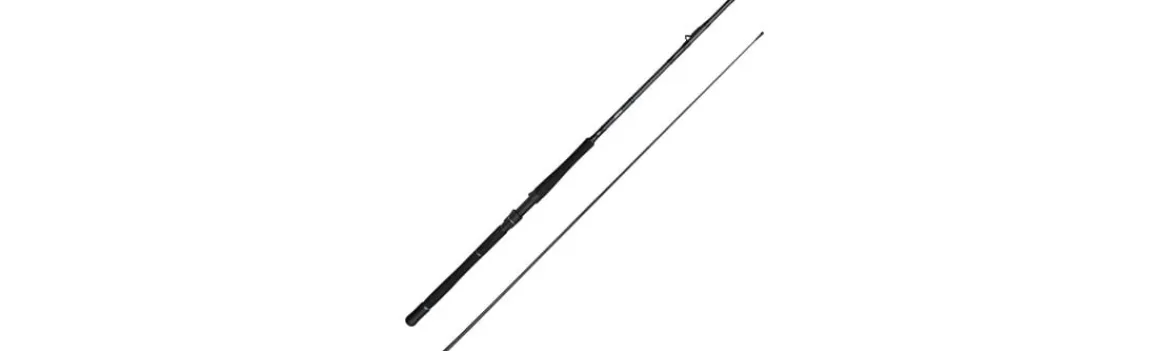 Caña Fury SG2 Inline Boat-Savage Gear Online