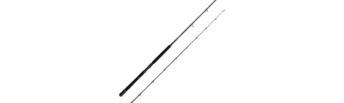 Caña Salmonoid SG2 Trolling-Savage Gear Best