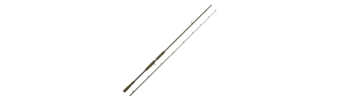 Caña SG4 Big Bait Specialist BC-Savage Gear Hot