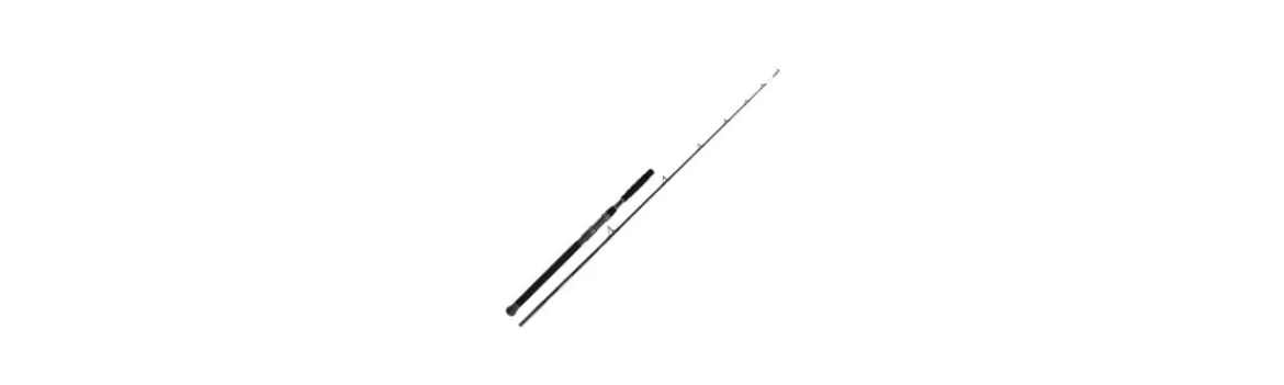Caña Beastmaster AX Catfish Static-Shimano Online