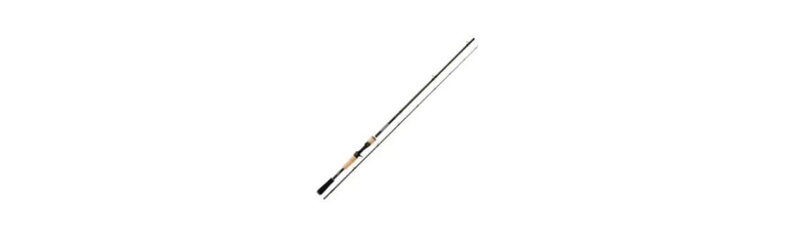 Caña Shimano Expride Casting