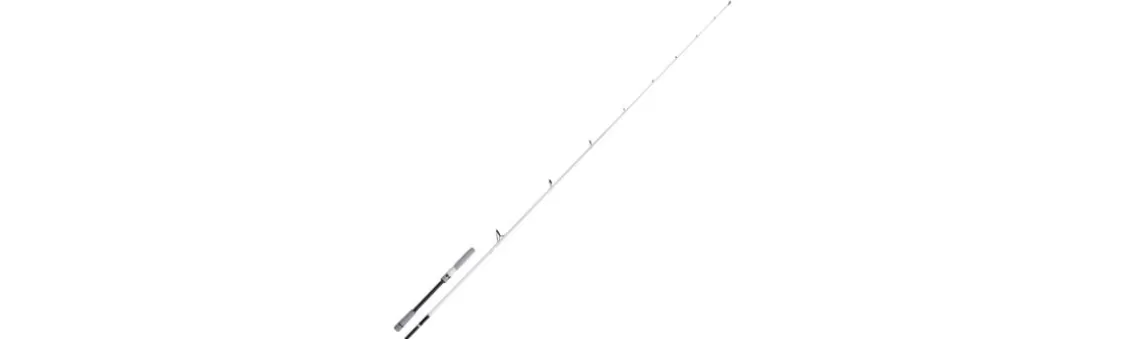 Caña Shimano Stradic Sea Bass Spinning