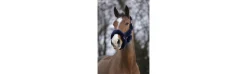 Cabezada Cuadra EQUITHEME Teddy