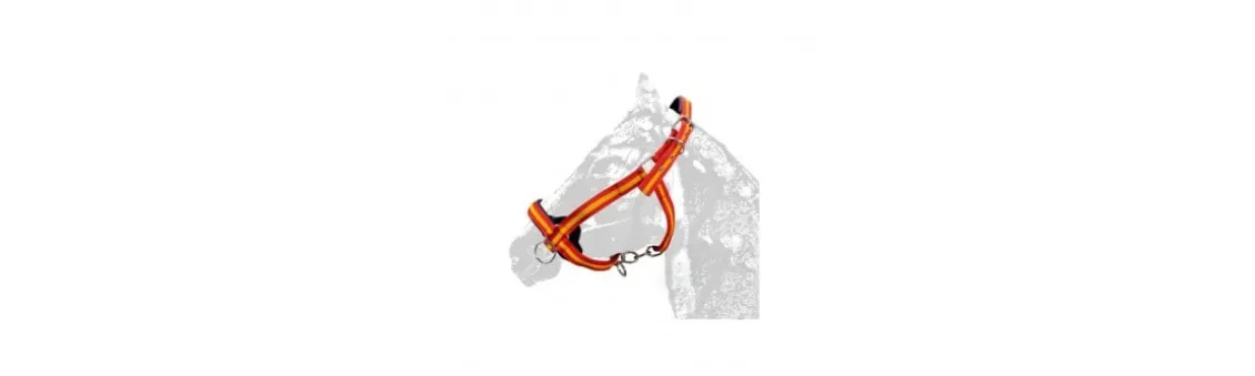 Cabezada Cuadra Extra Fuerte 290