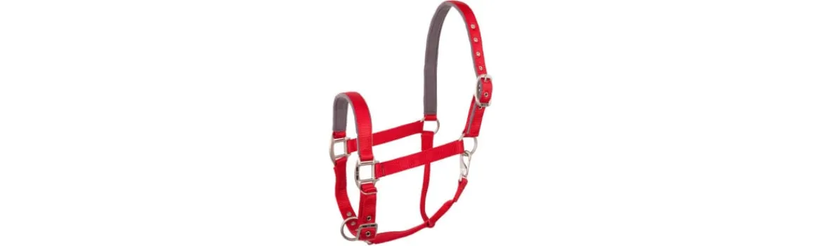 Cabezada de Cuadra BR Halter Event-BR Equestrian Hot