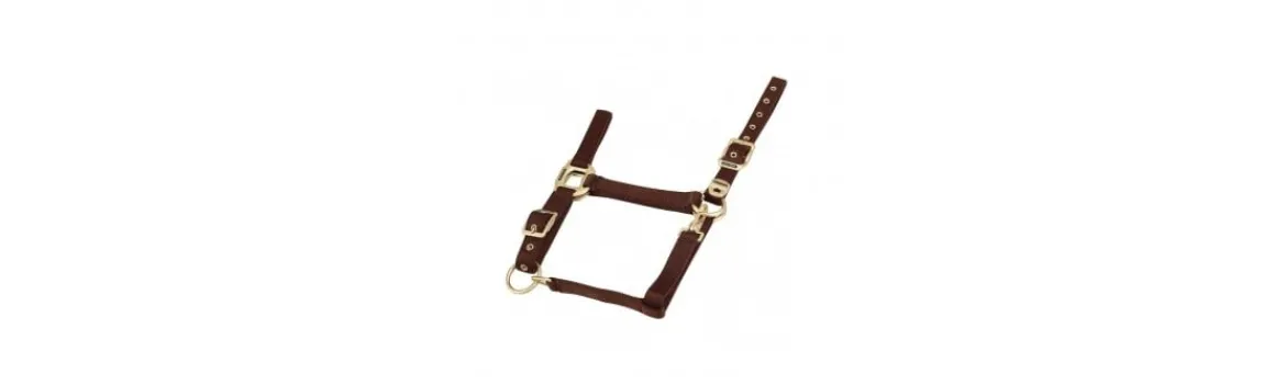 Cabezada de Cuadra EquiTheme Nylon Hebilla Dorada-Equi Theme Best