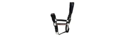Cabezada de Montar Kingsland Classic