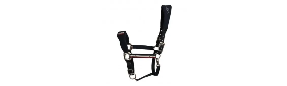 Cabezada de Montar Kingsland Classic