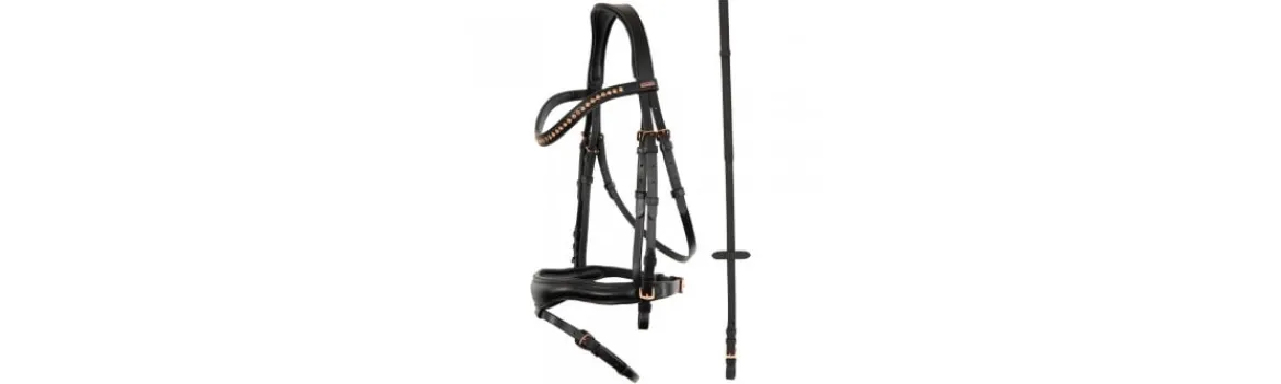 Cabezada Inglesa BR Premiere Cholet-BR Equestrian Clearance