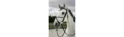 Cabezada Inglesa Riding World Muserola Mexicana-Alvarez Discount