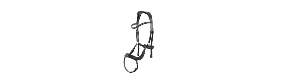 Cabezada Rienda Sencilla BR Mirfield Anatómica-BR Equestrian Discount
