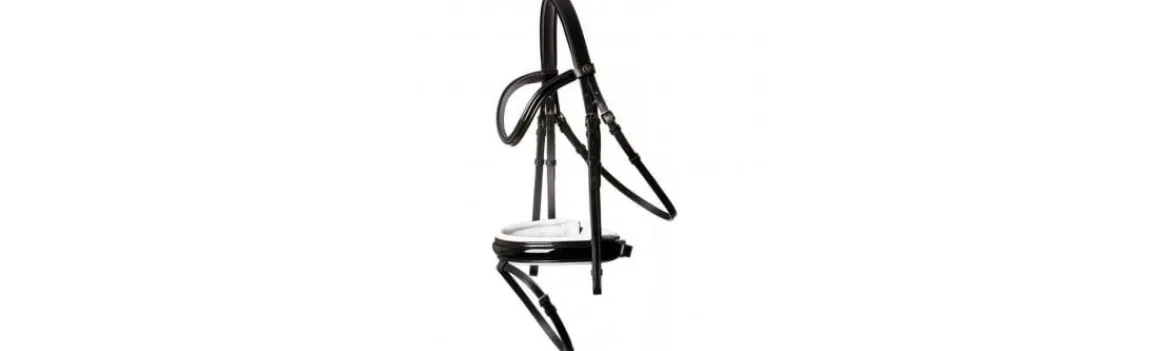 Cabezada Rienda Sencilla BR Kingston-BR Equestrian New
