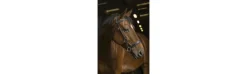 Cabezada Side-pull NORTON PRO “Confort”
