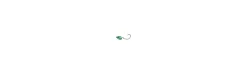 Cabezas plomadas Blue Shad (2 Uds.)