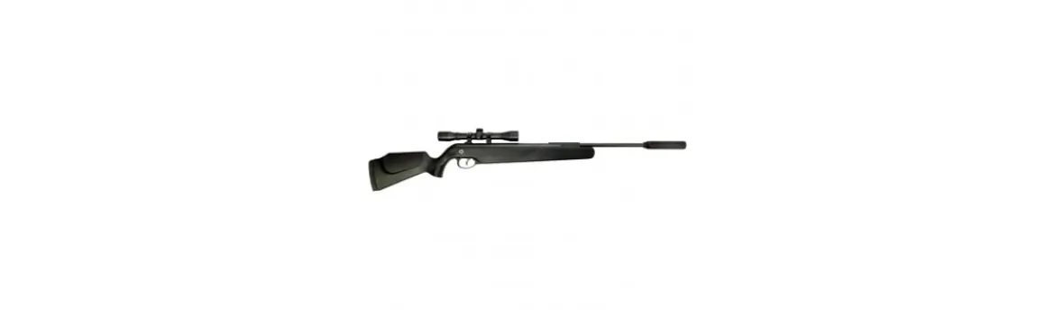 Carabina de Balines Dream Max-Norica Best