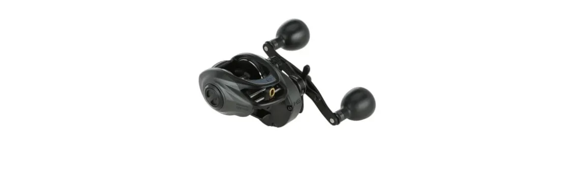 Carrete Abu Garcia Beast 300 Low Profile HS L