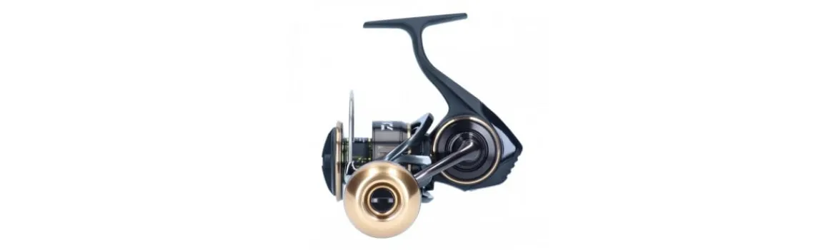 Carrete BG MQ 20-Daiwa Sale