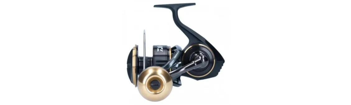 Carrete Daiwa BG MQ 21