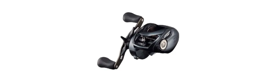 Carrete Daiwa Tatula TW 21