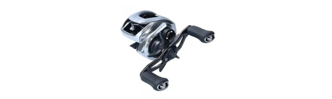 Carrete Daiwa Zillion SV TWG