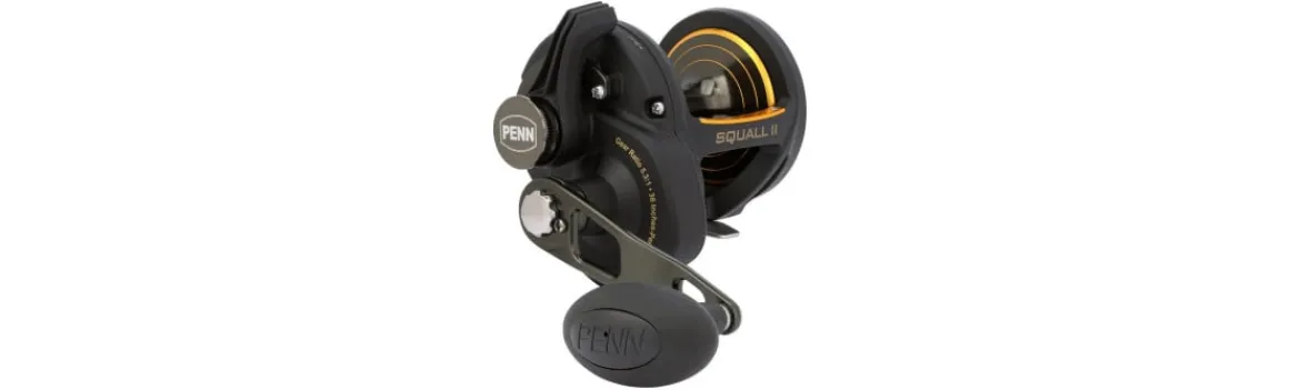Carrete Squall II Lever Drag-Penn Online