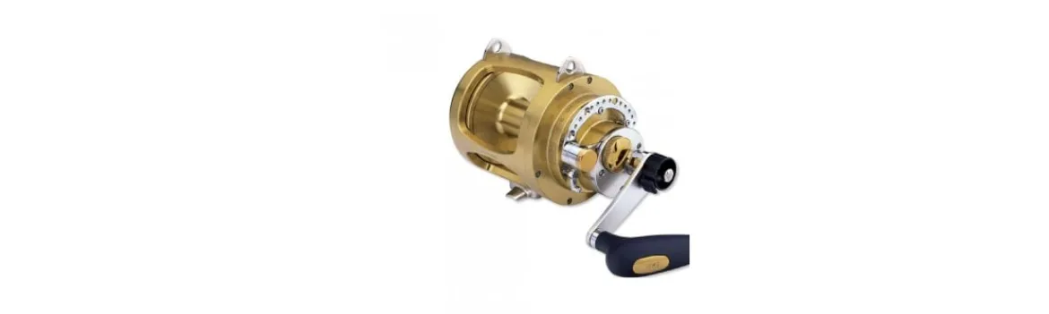 Carrete WTS-Tica Outlet
