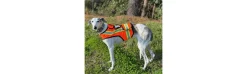 Chaleco Fluorescente Para Perros Máxima Visibilidad-Alvarez Clearance